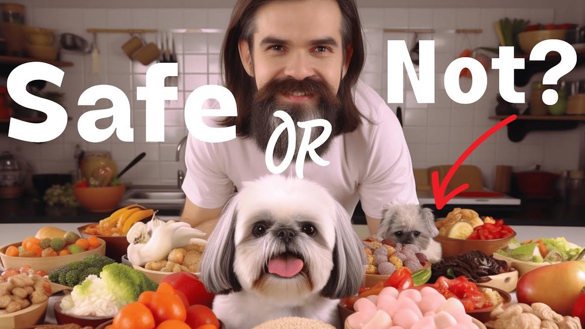 11 Human Foods that are actually HEALTHY for Shih Tzus!