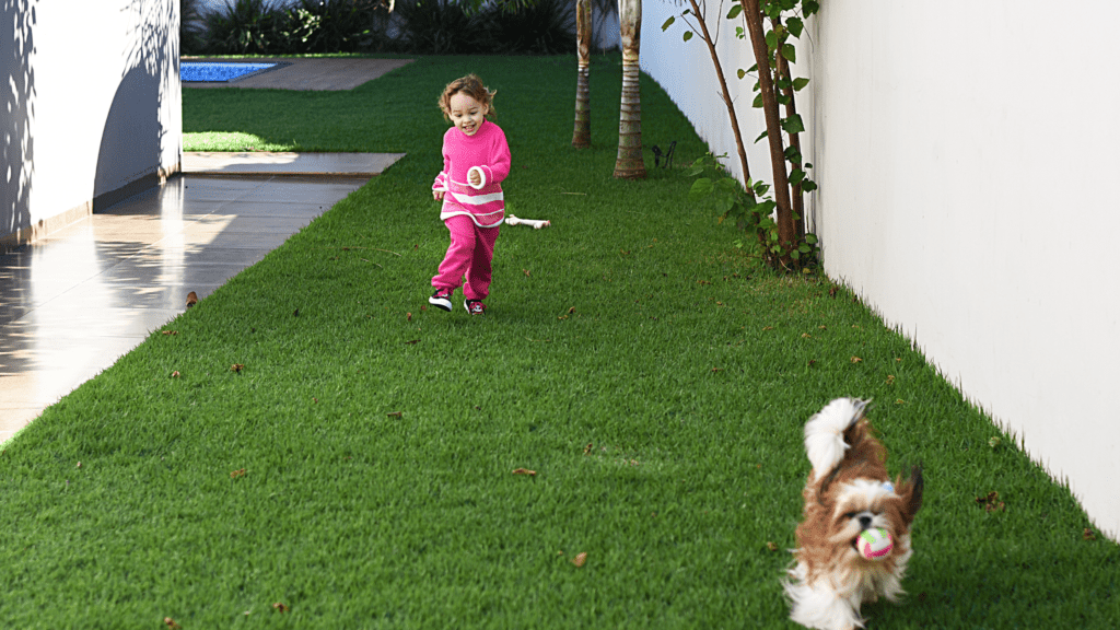 Shih Tzu playing fetch with a toddler 