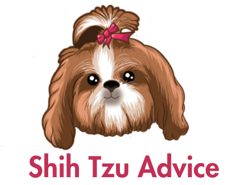 Shih Tzu Advice Website