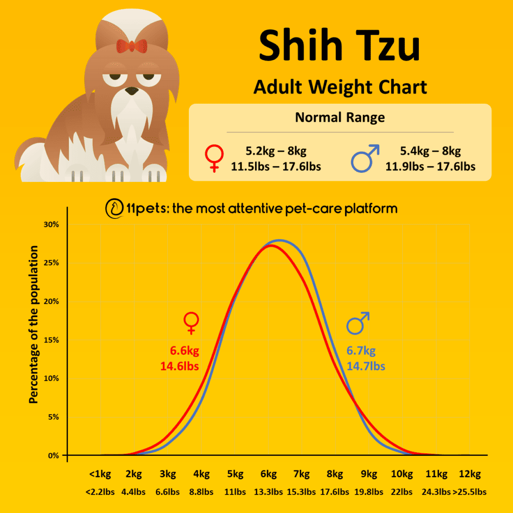 how-much-should-a-4-month-old-shih-tzu-weigh