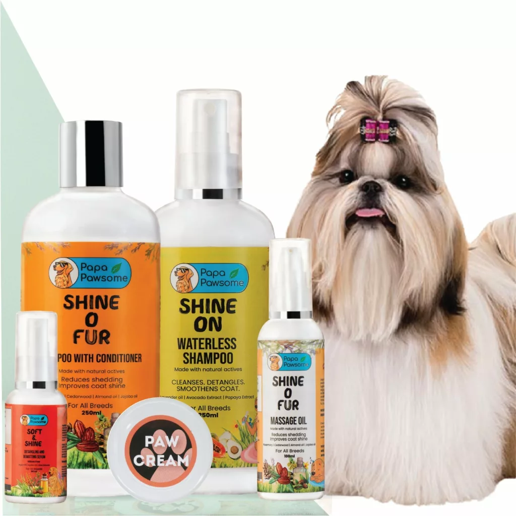 What Grooming Kit For Shih Tzu Dogs?