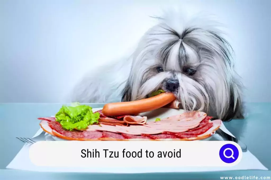 Can A Meat Dog Food Cause Diarrhea In Shih Tzu?