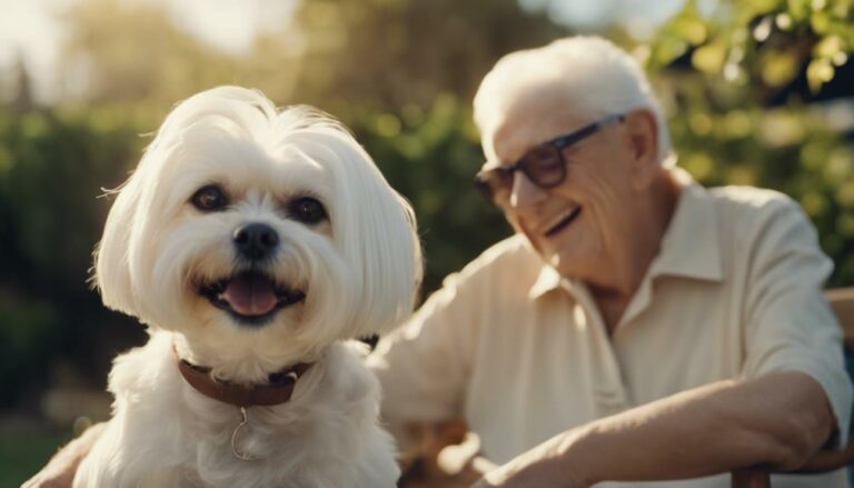 maltese dogs for seniors