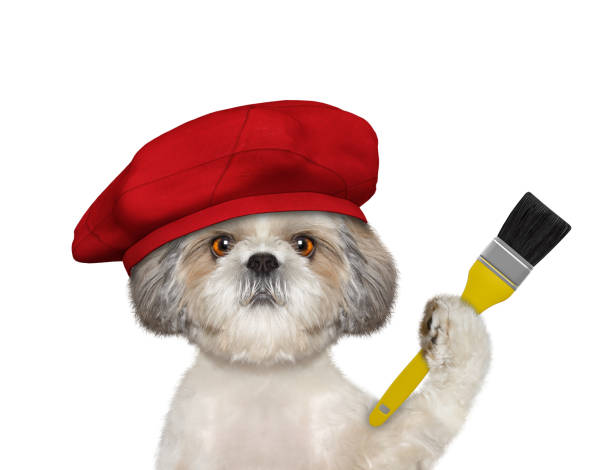 The Dream Jobs of Shih Tzus