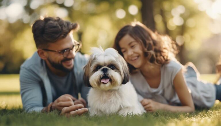 shih tzus ideal family pets