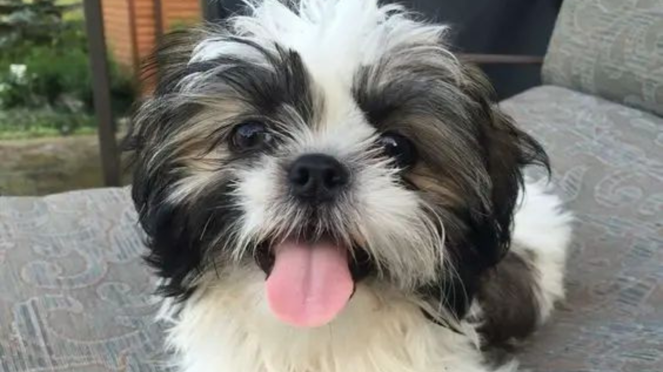 Gallery image with a fresh perspective